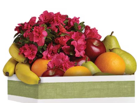 Top 5 Reasons to Choose a Local Florist in Balwyn North
