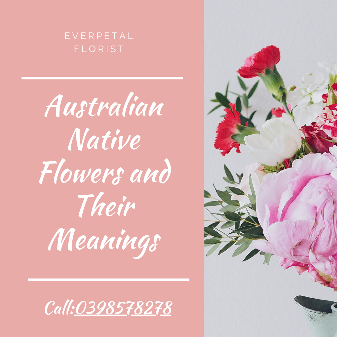 Australian Native Flowers and Their Meanings