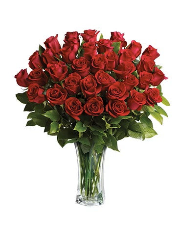 Love and Devotion 36 Red Roses