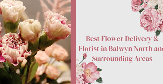 Best Flower Delivery & Florist in Balwyn North and Surrounding Areas