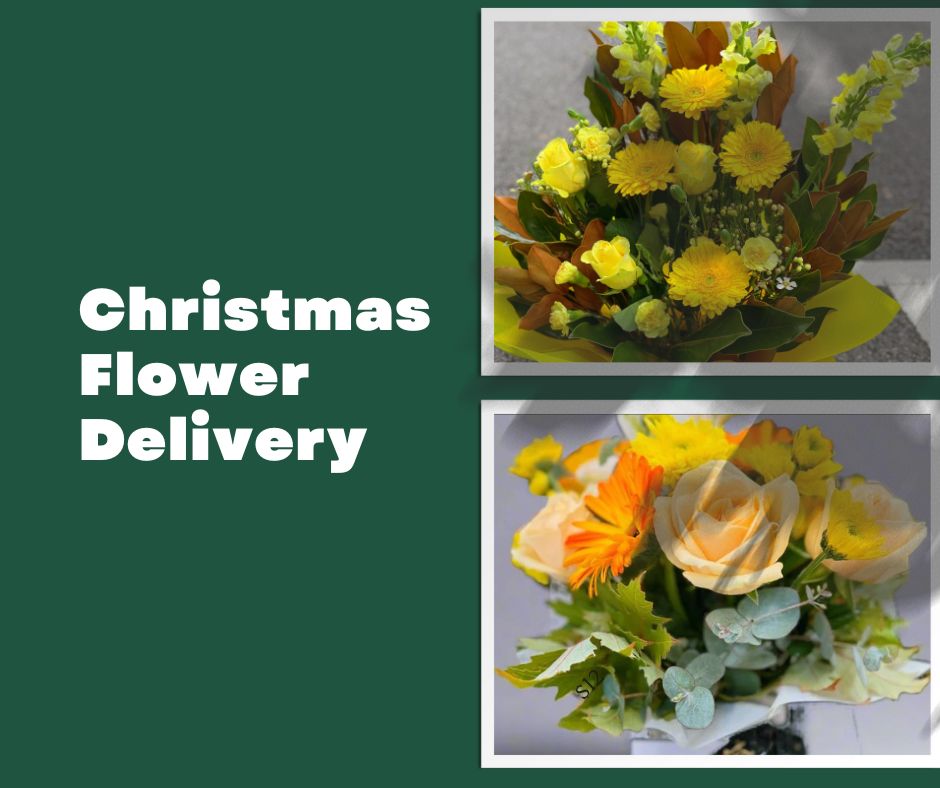 Professional Christmas Flower Delivery vs. DIY: What’s the Real Cost?