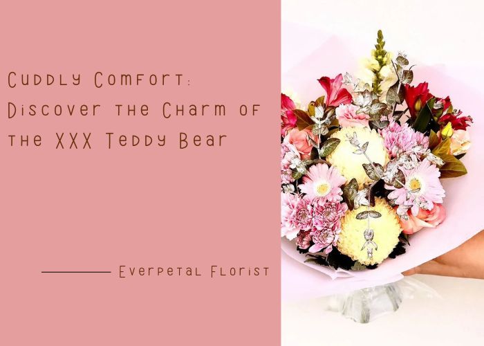 Cuddly Comfort: Discover the Charm of the XXX Teddy Bear