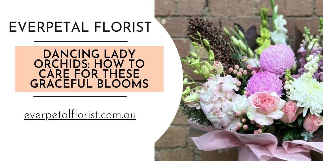 Dancing Lady Orchids: How to Care for These Graceful Blooms