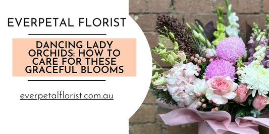 Dancing Lady Orchids: How to Care for These Graceful Blooms