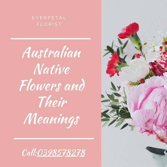 Australian Native Flowers and Their Meanings