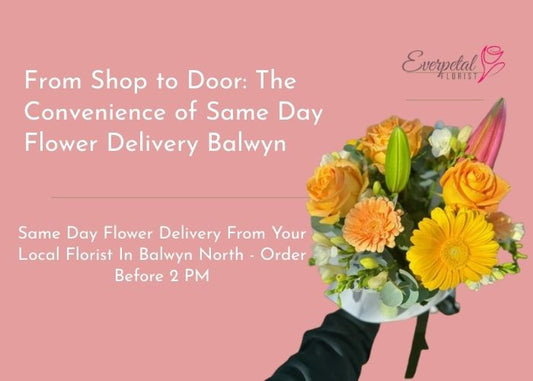 From Shop to Door: The Convenience of Same Day Flower Delivery Balwyn