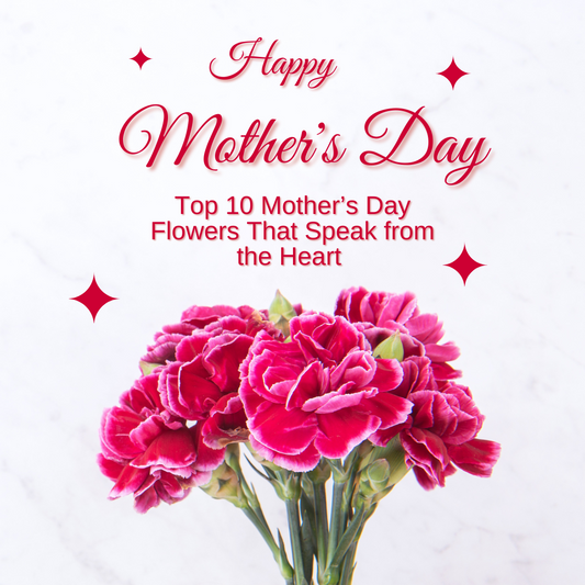 Top 10 Mother’s Day Flowers That Speak from the Heart