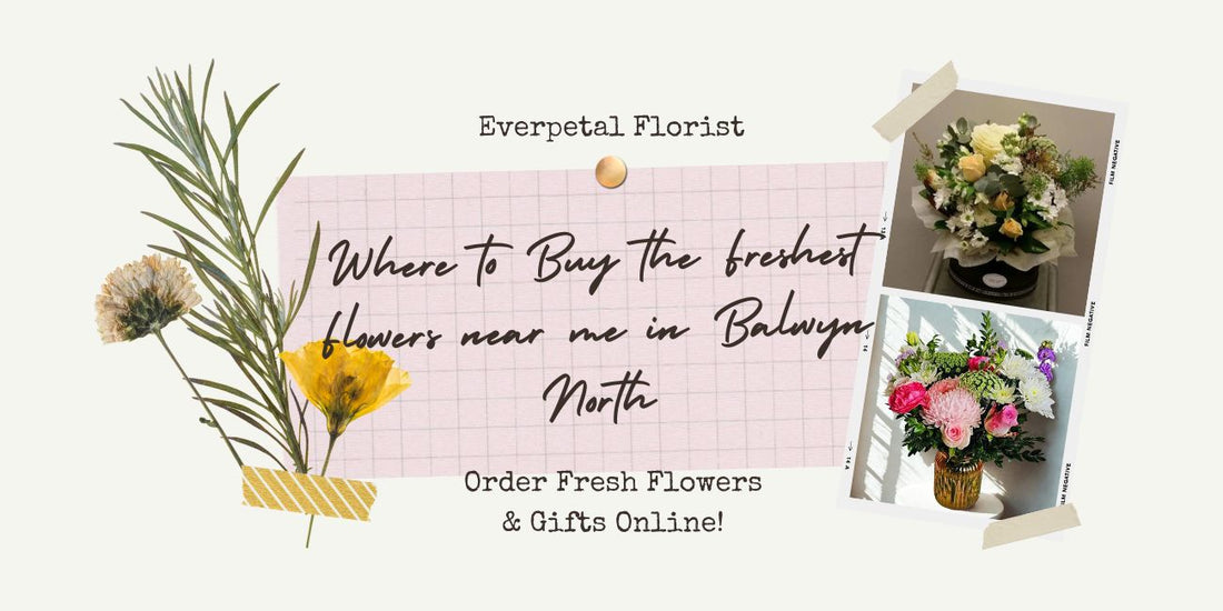 Where to Buy the Freshest Flowers near me in Balwyn North